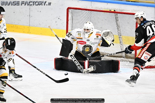 2025-01-25 Mastini Varese-Hockey Feltre 3471 Artur Ohandzhanian